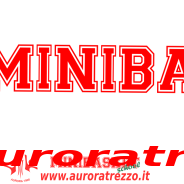 Anno sportivo 2016-2017